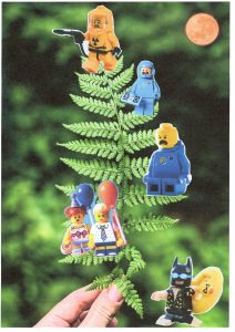 Photos-collages 2 45