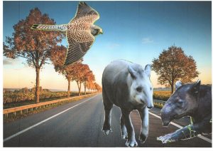 Photos-collages 92