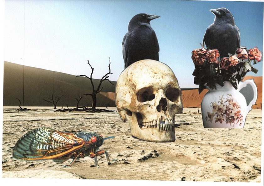 Photos-collages 84