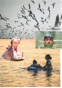 Photos-collages 2 37