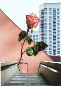 Photos-collages 79