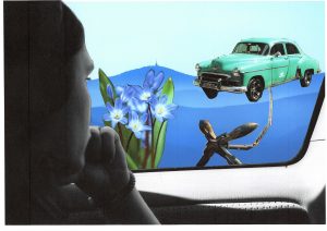 Photos-collages 58