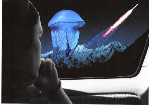 Photos-collages 59