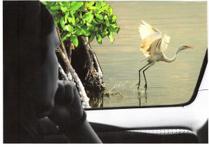 Photos-collages 60