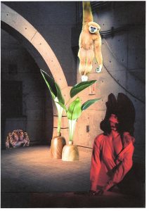 Photos-collages 2 34