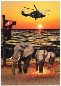 Photos-collages 77