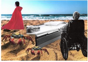 Photos-collages 64