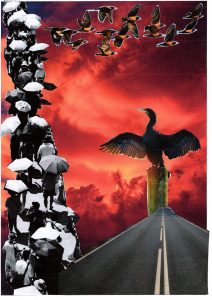 Photos-collages 2 68